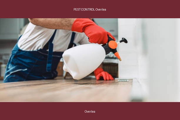 PEST CONTROL Overlea